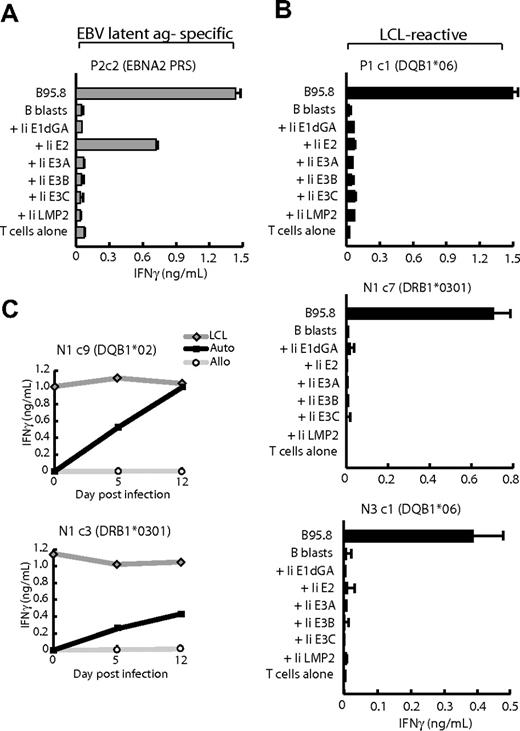 Figure 3. Antigen mapping assays. (A) CD4+ T-cell clone P2c2 specific for the EBNA2276-295 PRS epitope and (B) LCL-reactive clones P1 c1, N1 c7, and N3 c1 were cocultured overnight with HLA class II–matched B95.8 LCL cells and HLA class II–matched CD40L-activated B lymphoblasts either uninfected (B blasts) or infected with a panel of recombinant MVA vectors each expressing an invariant chain (Ii)–targeted form of one of the EBV latent proteins EBNA-1 (glycine-alanine repeat-deleted, Ii E1dGA), EBNA-2 (Ii E2), EBNA-3A (Ii E3A), EBNA-3B (Ii E3B), EBNA-3C (Ii E3C), or LMP-2 (Ii LMP2); parallel assays on EBNA-LP and LMP-1 peptide panels gave uniformly negative results (data not shown). (C) B cells isolated from autologous PBMCs (Auto) and from HLA mismatched PBMCs (Allo) were infected with B95.8 EBV. At day 5 and 12 after infection, 5 × 104 target B cells/well were cocultured with CD4+ T-cell clones N1c9 and N1c3 in an IFNγ ELISA. In each case, the autologous B95.8 LCL was used as a positive control target. All results shown are the mean ± 1 SD of triplicate wells in which IFNγ release into the supernatant medium was determined by ELISA (in ng/mL). Results are representative of those seen on 3 occasions of testing.