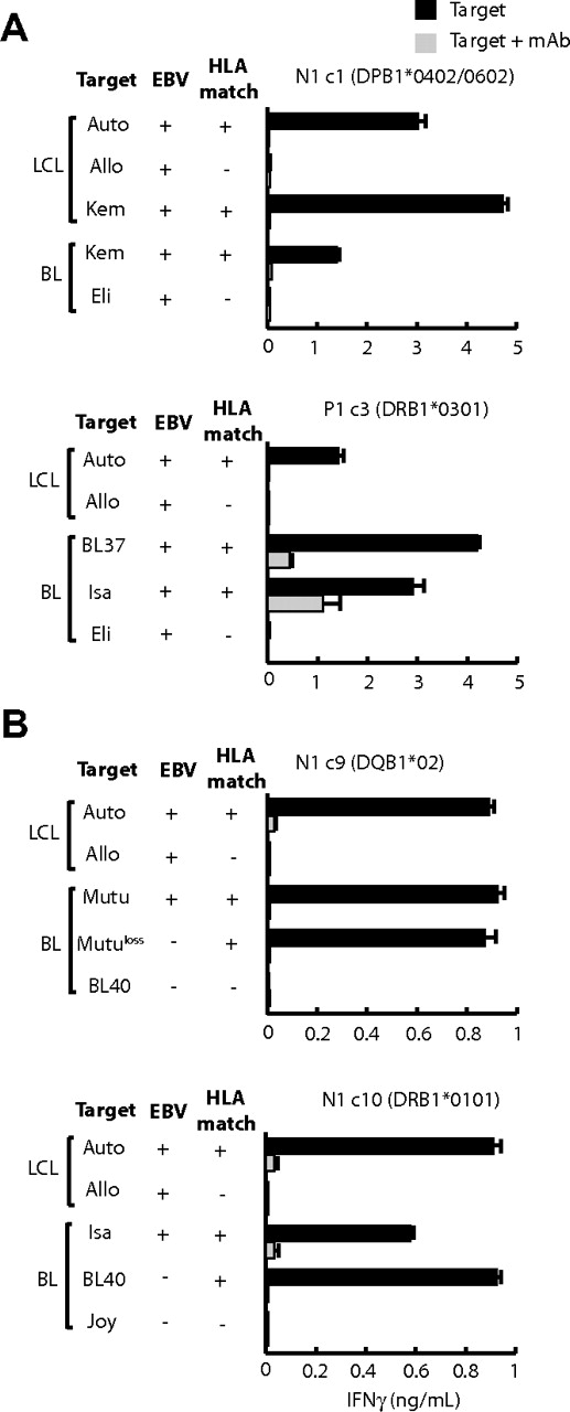 Figure 4. LCL-specific CD4+ T-cell recognition of HLA class II–matched BL lines. (A) EBV-positive lines and (B) EBV-positive and -negative lines. T cells (104 cells/well) were cocultured overnight with standard numbers (5 × 104 cells/well) of LCLs and BL lines whose EBV status and matching for the relevant HLA class II–restricting allele are shown. In each case, the lines that had been preincubated either with medium alone or in the presence of the relevant HLA class II–blocking mAb (as described in the legend for Figure 2). All responses are shown as the mean − 1 SD of triplicate wells in which IFNγ release into the supernatant medium was determined by ELISA (in ng/mL). Results are representative of those seen on 3 occasions of testing.