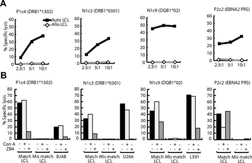 Figure 6. Lysis of LCL and B-lymphoma targets by LCL-specific clones P1c4, N1c3, N1c9 and by clone P2c2 specific for the EBNA2276-295 PRS epitope. (A) Twelve-hour chromium release assays were conducted with HLA class II–matched (auto) and mismatched (allo) LCL targets. Results are expressed as the percentage of specific chromium release from the target cells at effector-to-target ratios of 2.5:1, 5:1, and 10:1. (B) Results of similar assays conducted at an effector-to-target ratio of 10:1, either when both effector and targets were unmanipulated, or when target cells were preexposed to 100 nM Con A for 1 hour after labeling with 51Cr, or when effector cells were preincubated with 100 ng/mL CD95 Fas (blocking) mAb ZB4 (Immunotech) for 2 hours before the assay. These results are representative of those seen on 3 occasions of testing.