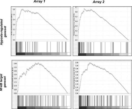 Figure 4. Gene enrichment analysis to compare key genes up-regulated by hypoxia in human MDMs and known NF-κB–regulated genes. Hypoxia up-regulated genes identified in 2 separate macrophage cultures using Affymetrix or Illumina microarrays were ranked by level of hypoxia-mediated induction. The ranked gene lists were then compared with both a previously published gene set for hypoxia-regulated genes in tumor cells (the hypoxia-regulated gene set, top row) or genes previously shown to be NF-κB target genes (the NF-κB target gene set, bottom row) by GSEA. The hypoxia-regulated gene set (top row) was significantly enriched in the hypoxic macrophage gene set identified on both the Affymetrix (Array 1; NES = 2.2, q < 0.001) and the Illumina (Array 2; NES = 2.24, q < 0.001) arrays. The NF-κB target gene set (lower row) was also enriched in the hypoxic macrophage gene set on both Affymetrix (NES = 1.69, q = 0.02) and Illumina (NES = 1.67, q = 0.12) arrays.