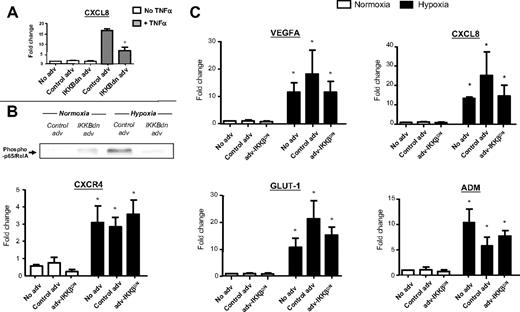 Figure 7. IKK-β inhibition has no effect on the hypoxic induction of various genes in human MDMs in vitro: use of a recombinant adenovirus expressing a dominant negative inhibitor of IKK-β (adv-IKK-βDN). MDM infection with adv-IKK-βDN (but not control adv) significantly inhibited both TNF-α–induced gene expression of CXCL8 (A) and hypoxia-induced nuclear accumulation of phospho-p65/RelA (B) by human MDM. (C) Hypoxia significantly increased the expression of VEGFA, CXCL8, CXCR4, GLUT-1, and ADM mRNA in untreated and adenovirally infected MDM compared with respective normoxic MDM controls. However, there was no significant difference in the expression of these genes between hypoxic MDM infected with adv-IKK-βDN or the control adenovirus. N = 3. *P < .05 with respect to respective normoxic group. +P < .05 with respect to TNF-α + control adenovirus group.