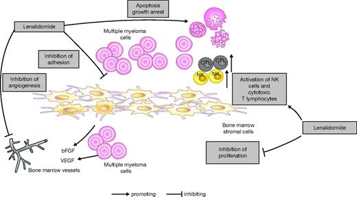 Figure 1. Lenalidomide mechanism of action. Based on Davies et al7 and Hideshima et al.8,9 bFGF indicates basic fibroblast growth factor; CTL, cytotoxic T lymphocytes; NK, natural killer; and VEGF, vascular endothelial growth factor.