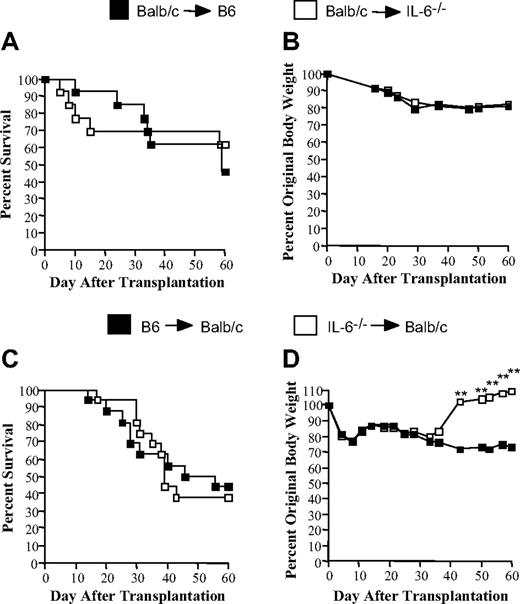Figure 2. Absence of either recipient or donor-derived IL-6 is insufficient to protect mice from lethal GVHD. (A-B) Lethally irradiated (1000 cGy) B6 (n = 13) or IL-6−/− (n = 13) animals received a transplant of 10 × 106 BM and 15 × 106 spleen cells from Balb/c mice. Overall survival (A) and the percentage of original body weight over time (B) are depicted. Data are cumulative results from 4 independent experiments. (C-D) Lethally irradiated (900 cGy) Balb/c mice received a transplant of 10 × 106 BM and 0.5 to 0.7 × 106 spleen cells from either B6 (n = 16) or IL-6−/− (n = 16) animals. Overall survival (C) and the percentage of original body weight over time (D) are depicted. Data are cumulative results from 4 independent experiments. (Statistics: **P < .01.)