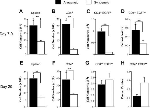 Figure 5. In vivo conversion of CD4+ foxp3− T cells to CD4+ foxp3+ T cells is negligible during acute GVHD. Lethally irradiated bm12 (1000 cGy; n = 8-11/group) or B6 (1000 cGy; n = 8-12/group) mice received a transplant of B6 Rag-1 BM (5 × 106) and sorted CD4+ EGFP-foxp3− T cells (0.6 × 106). Cohorts of mice were killed on either days 7 to 9 or day 20 after transplantation. Spleen cellularity (A,E), absolute number of splenic CD4+ T cells (B,F), percentage of CD4+ EGFP+ T cells in the spleen (C,G), and absolute number of CD4+ EGFP+ T cells in the spleen (D,H) are depicted. Data are presented as the mean (± SEM) and are the cumulative results from 2 to 3 independent experiments. (Statistics: **P < .01.)