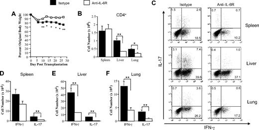Figure 7. Blockade of IL-6 signaling results in a significant reduction in proinflammatory TH1 and TH17 cells. Lethally irradiated (900 cGy) Balb/c mice received a transplant of B6 BM (5 × 106) and purified B6 CD4+ T cells (0.3 × 106). Cohorts of mice were then administered rat IgG isotype control (n = 8) or anti–IL-6R antibody (n = 8) for 4 weekly injections as described in “Reagents.” Mice in both groups were killed 28 to 29 days after transplantation. (A) The percentage of original body weight of mice over time from both groups is depicted. (B) Absolute number of CD4+ T cells in the spleen, liver, and lung of animals treated with either isotype control or anti–IL-6R antibody. (C) Representative dot plot depicting the percentage of IL-17– and/or IFN-γ–secreting cells within the gated CD4+ T-cell population. (D-F) Absolute number of CD4+ IFN-γ+ or CD4+ IL-17+ T cells present in the spleen, liver, or lung of animals treated with either isotype control or anti–IL-6R antibody. Data are presented as the mean (± SEM) and are the cumulative results from 2 independent experiments. (Statistics: *P ≤ .05, **P < .01.)