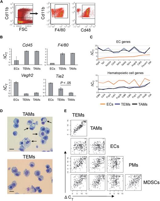 Figure 1. Gene expression profile of TEMs, TAMs, MDSCs, PMs, and ECs. (A) Flow cytometry analyses of tumors grown subcutaneously in wild-type FVB mice (n = 4) and made into single-cell suspensions shows that the majority of tumor-infiltrating myeloid cells (gated as Cd11b+ cells, dot plot on the left) are highly enriched in F4/80+ or Cd48+ macrophages (dot plots on the right). One representative experiment is shown. (B) Quantitative PCR analysis of TEMs (n = 4), TAMs (n = 4), and ECs (n = 2) showing the expression level of relevant genes. Results show ΔCT values (mean ± SEM) over endogenous control Gapdh. The lower the ΔCT, the higher the expression level. TEMs and TAMs express Cd45 (pan-hematopoietic–specific marker) and F4/80 (macrophage-specific marker) to similar extent. Vegfr2 (endothelial-specific marker) is expressed robustly only by ECs. TEMs express Tie2 to a significantly higher extent than TAMs (P < .05). (C) Quantitative PCR-based, multigene array analysis of TEMs (n = 3), TAMs (n = 3), and ECs (n = 1) showing the expression level (ΔCT vs β2m) of relevant EC (top panel) and hematopoietic/myeloid (bottom panel) genes. TEMs and TAMs robustly express classic hematopoietic/myeloid genes but not EC genes. (D) Morphology (May-Grünwald-Giemsa staining) of TAMs (top panel) and TEMs (bottom panel) FACS-sorted from N202 tumors grown for 3 weeks in Tie2-GFP transgenic mice (n = 2 independent experiments). Arrows indicate large macrophages containing conspicuous cytoplasmic phagosomes. Scale bar represents 30 μm. Photos are representative of n = 25 photos/sample. (E) One-dot-one-gene representation of the expression profile (280 genes analyzed) of tumor-derived TEMs (n = 3), TAMs (n = 3), and ECs (n = 1), Gr1+Cd11b+ neutrophils/MDSCs (n = 2; isolated from the spleen of tumor bearing mice) and PMs (n = 2), analyzed by quantitative PCR as in panel C. Each one-dot-one-gene plot compares 2 cell types, as indicated. The data show that TEMs are highly related to TAMs (Pearson linear correlation: 0.926) but sharply differ from Gr1+Cd11b+ cells (0.682), PMs (0.701), and ECs (0.240).