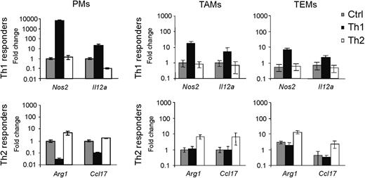 Figure 4. TEMs, like TAMs, are refractory to proinflammatory stimuli. In vitro stimulation of PMs, TEMs, and TAMs with Th1 (LPS + Ifng) and Th2 (Il4) cytokines, or the same cells left unstimulated (Ctrl). Top and bottom panels show the expression of Th1 (Nos2, Il12a) and Th2 (Arg1, Ccl17) responder genes, respectively. The expression of each gene is indicated as fold change (mean ± 2 × SD of 3 independent experiments) over its expression in unstimulated PMs (for PMs) or unstimulated TAMs (for TEMs and TAMs); endogenous control: β2m. Note that TEMs and TAMs are much less responsive than PMs to Th1 cytokine treatment. Conversely, Th2 cytokine stimulation elicits a greater response in TEMs and TAMs than in PMs.