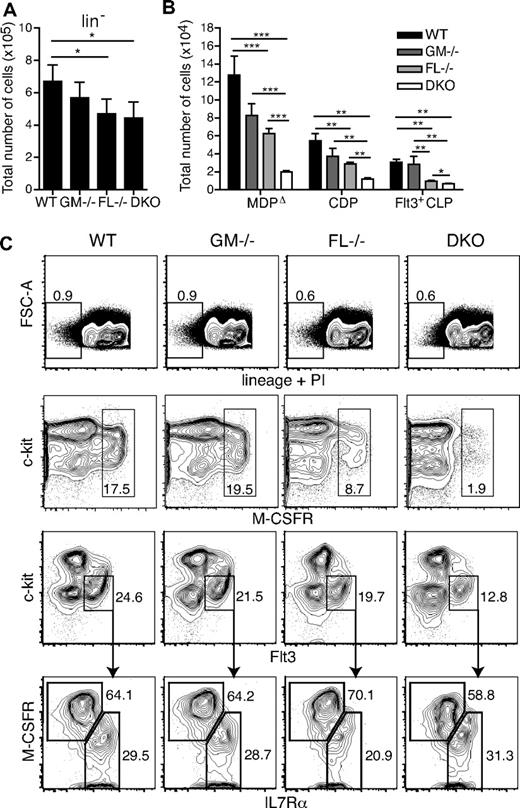 Figure 2. Dendritic cell progenitors are significantly reduced in the absence of GM-CSF and FL. Quantification of total cell numbers of lineage-negative (lin−) cells (A) and for each progenitor population (B) (n = 5-7 mice/group). *P < .05; **P < .01; ***P < .001. (C) Representative fluorescence-activated cell sorting (FACS) plots of stained BM cells from WT, GM-CSF−/−, FL−/−, and DKO mice. Gating of lin− cells (dead cells excluded by PI staining; first row). Second and third rows were first gated on lin− cells. MDPΔ gate: M-CSFRhi (second row). CDP and Flt3+ CLP gates were as follows: CDP, c-kitintFlt3+M-CSFR+IL7Rα−; Flt3+ CLP, c-kitintFlt3+M-CSFRlo/−IL7Rα+ (third and fourth rows). Numbers in or beside boxes indicate percentage of cells shown.