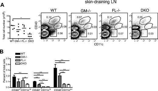 Figure 5. Skin-derived DCs in the draining lymph nodes are significantly reduced in GM-CSF– and FL-deficient mice in steady state. (A) Flow cytometry and analysis of DC subsets in skin-draining LNs (pooled inguinal, axillary, and cervical LNs). Horizontal lines indicate mean values of the results. LN DC subsets gated as CD40hiCD11cint, CD40+CD11chi, and CD40−CD11cint. Total LN cell numbers (A) and percentage of each LN DC subset (B) are shown in graphs. *P < .05; **P < .01.