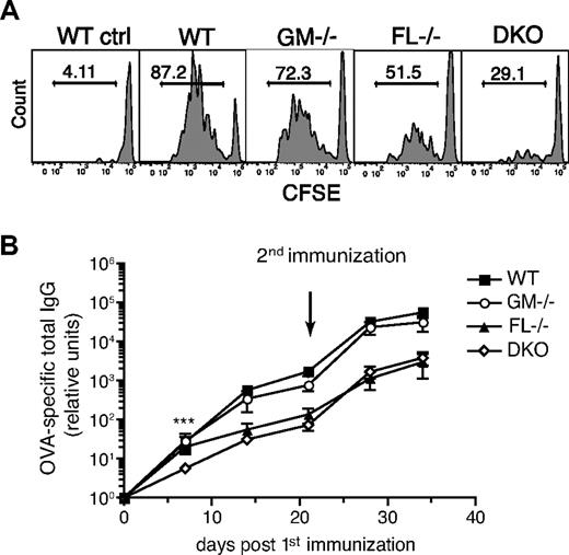 Figure 6. Reduced T-cell and antibody responses after subcutaneous immunization in the absence of GM-CSF and FL. (A) T-cell proliferation assay. Naive OT-II CD4+CD45.1+ T cells were sorted and labeled with CSFE before transfer into CD45.2+ WT, GM-CSF−/−, FL−/−, and DKO mice (6 × 104 cells/recipient). The next day, mice were immunized subcutaneously in the right flank with 2 μg OVA protein and 4 μg MPL. Draining LNs (right axillary and inguinal) and nondraining LNs (shown as representative WT control) were analyzed 3 days later. The proliferation of the transferred OT-II T cells was analyzed by gating on CD45.1+CD3+CD4+ cells. Histograms show the percentage of OT-II T cells having diluted the CFSE label. Results are representative of 2 independent experiments with a total of 3 to 7 mice/group. (B) Production of OVA-specific IgG antibodies. WT, GM-CSF−/−, FL−/−, and DKO mice were immunized in the footpads with 2 μg whole OVA protein and 4 μg MPL, and serum was collected at the indicated time points. A second immunization was given at day 21. OVA-specific IgG antibodies were measured by ELISA (n = 7-8 mice/group). ***P < .001.