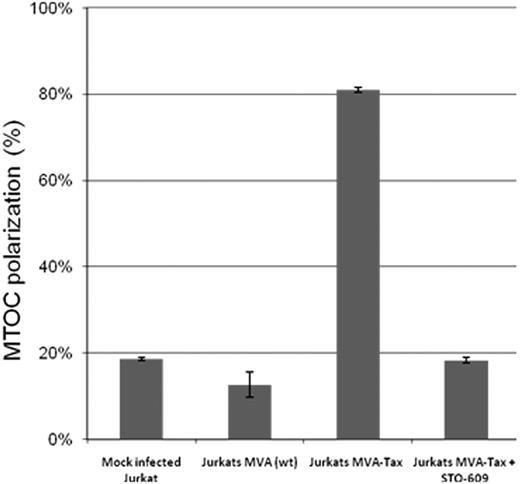 Figure 2. Effect of inhibition of CREB phosphorylation on MTOC polarization in Jurkat cells expressing Tax protein. Jurkat cells were infected with the Tax recombinant MVA at a multiplicity of infection = 10 pfu/cell. After overnight Tax expression, the Jurkat T cells were treated (or mock-treated) with 10 μM of STO-609 for 1 hour at 37°C, then mixed with uninfected and untreated Jurkat cells at a ratio of 1:1, and incubated at 37°C for 1 hour to allow cell-cell conjugate formation. The cells were fixed, and Tax protein, the microtubules, and the nucleus were stained by immunofluorescence using anti-Tax monoclonal antibody (Lt-4), anti–β-tubulin-CY3, and 4,6-diamidino-2-phenylindole (DAPI), respectively. In 2-cell conjugates (n = 50-100 in each experiment) formed between Tax+ and Tax− cells, we scored the frequency of polarization of MTOC in the Tax+ cell to the cell-cell junction. The bars represent the mean plus or minus SE of 3 independent experiments.