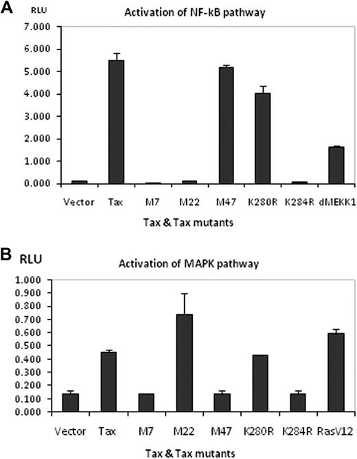 Figure 5. Effect of wild-type Tax and various Tax mutant proteins on NF-κB and MAPK signaling pathways. (A) HEK293T cells were transfected with 100 ng of wt pCMV4-Tax or pCMV-Tax mutants and NF-κB-luciferase reporter. Thirty-six hours after transfection, cells were harvested and lysed with Passive Lysis Buffer (Promega). Luciferase activity was measured on a FLUOstar Optima (BMG). pCMV5-ΔMEKK1 was used as a positive control in this assay. (B) The assay was similarly performed for the MAPK pathway using SRE-luciferase reporter. pCMV5-myc-RasV12 was used as the positive control. Error bars represent mean ± SE of triplicates; results shown are representative of 5 or 6 independent assays.