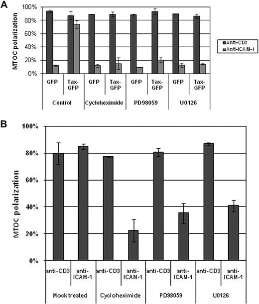 Figure 6. Effect of blocking the MEK-ERK signaling pathway on MTOC polarization induced by the cross-linking of CD3 or ICAM-1 on the surface of Jurkat cells transiently transfected with Tax or CD4+ cells naturally infected with HTLV-1. The graphs represent the percentage of Jurkat cells expressing GFP-Tax protein or GFP protein alone (A), and naturally infected T cells (B) whose MTOC was oriented to the cell-bead contact region. Six hours after transfection with the respective plasmid, the cells were treated for 1 hour at 37°C either with cycloheximide (20 μM) or PD98059 (20 μM) or U0126 (100 μM), and then MTOC polarization was induced by cross-linking CD3 or ICAM-1 at the cell surface using latex beads coated with monoclonal antibodies directed against either CD3 or ICAM-1. Between 50 and 200 events were counted per condition, per experiment. The bars represent the mean ± SE of 3 independent experiments.