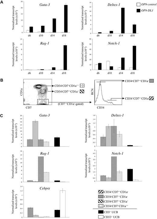 Figure 2. Gene expression analysis of CD34+CD38−/lo HSCs cultured on OP9-DL1 cells. (A) Temporal kinetics of gene expression by quantitative real-time QRT-PCR analysis from human CD34+CD38−/lo HSCs cultured on either OP9-control or OP9-DL1 cells for 6, 10, 14, and 18 days, as indicated. (B) Flow cytometric analysis for the cell surface expression of CD7 and CD1a from a day-50 HSC/OP9-DL1 coculture, with CD34 expression shown for cells gated as CD7+ CD1a−. (C) Gene expression analysis by QRT-PCR from the coculture-derived subsets as indicated in panel B: CD34+CD7++CD1a−, CD34−CD7++CD1a−, CD34−CD7++CD1a+, CD34−CD7+CD1a++; see figure key. CD3+ T cells and CD33+ myeloid cells were purified from the Lin+ fraction of UCB samples and served as controls. Transcript levels for the indicated genes were normalized to human β-actin, and these data are representative of 3 independent experiments, with the STD error bars shown corresponding to values obtained from triplicate wells within an individual experiment.