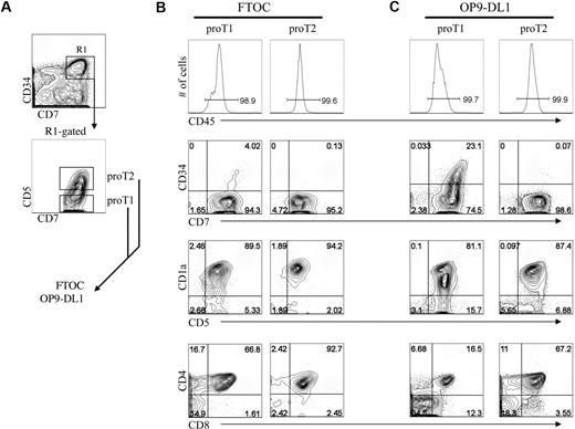 Figure 5. Analysis of engraftment and differentiation by in vitro–derived progenitor T-cell subsets in FTOC. Human UCB CD34+CD38−/lo HSCs were differentiated for 13 days on OP9-DL1 cells and CD34+CD7++CD5− (proT1) and CD34+CD7++CD5+ (proT2) subsets were sorted by flow cytometry as indicated in panel A, and placed into FTOC (B) or placed back onto OP9-DL1 cells (C) for 19 days. Cells were harvested and analyzed for cell surface expression of CD45, CD7, CD34, CD5, CD1a, CD8, and CD4. Total cellularity of fetal thymic lobes after reconstitution ranged from 6 to 8 × 103 or 5 to 12 × 103 with proT1 cells or proT2 cells, respectively. Data are representative of 3 independent experiments in which 1.5 × 104 sorted proT subsets were placed either into fetal thymus lobe pairs or in wells containing OP9-DL1 cells.
