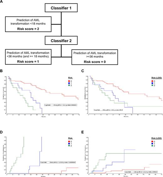 Figure 5. PC model analysis. (A) Flow diagram for the calculation of the MDS risk score. Kaplan-Meier curves grouped by PC model scores. (B) Overall survival after diagnosis of MDS, calculated by the resubstitution classifiers. (C) Overall survival after diagnosis of MDS, calculated by the hierarchical LOO classifiers. (D) Time to AML transformation after diagnosis of MDS, calculated by the resubstitution classifiers. (E) Time to AML transformation after diagnosis of MDS, calculated by the hierarchical LOO classifiers.