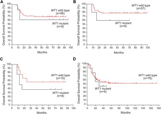 Figure 3. Survival analysis of WT1 mutations in pediatric and adult T-ALL. (A-B) Kaplan-Meier plots of overall survival for pediatric T-ALL patients treated on DCOG (A) and COALL-97 (B) protocols. (C) Kaplan-Meier plot of overall survival for TLX3 positive pediatric T-ALL patients. (D) Overall survival analysis in adult T-ALL patients treated in the MRC UKALLXII/ECOG E2993 trial.