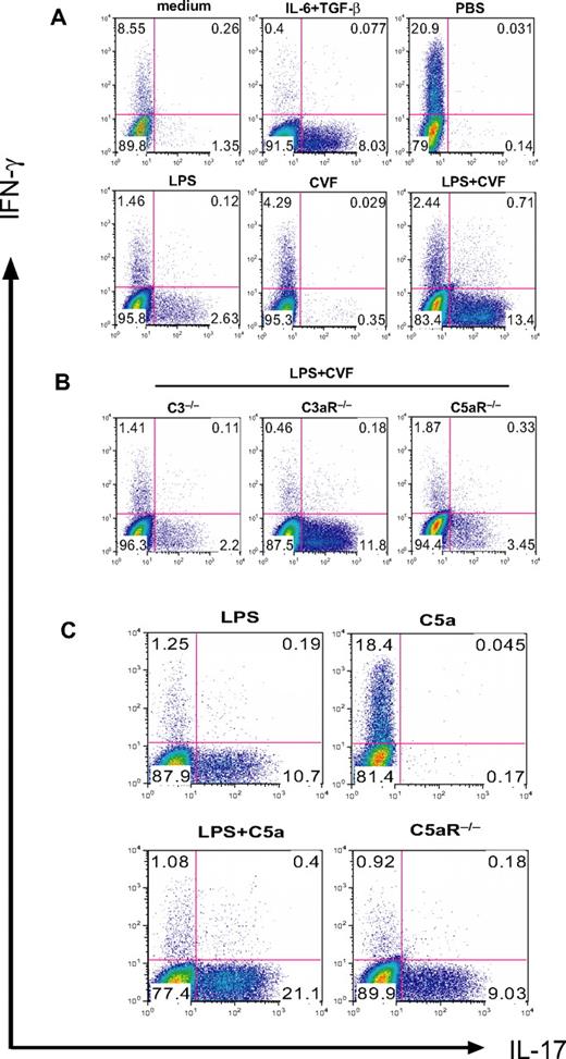 Figure 1. Complement C5a synergizes with TLR4 to produce serum factors that drive Th17-cell differentiation. (A) Mouse CD4+ T cells were activated by plate-bound anti-CD3/CD28 in the presence of 5% serum from WT mice treated with PBS, LPS, CVF, or LPS+CVF. Culture medium and recombinant IL-6 + TGF-β were used as negative and positive controls, respectively, for Th17-cell differentiation. (B) CD4+ T cells were activated as in panel A in the presence of 5% serum from C3−/−, C3aR−/−, and C5aR−/− mice treated with LPS + CVF. (C) CD4+ T cells were activated as in panel A in the presence of 5% serum from WT mice treated with LPS, C5a, and LPS + C5a or from C5aR−/− mice treated with LPS + C5a. Cells were cultured for 3 days after activation, and IFN-γ and IL-17–producing cells were detected by flow cytometry after intracellular staining. Data in panels A and B were from the same experiment, whereas data in panel C were from a separate experiment.