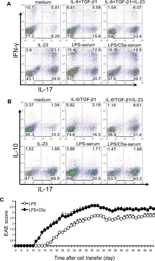 Figure 4. Complement-TLR4 interaction promotes the development of pathogenic Th17 cells from antigen-experienced autoreactive CD4+ T cells. WT mice were immunized with MOG38-50 in CFA. After 10 days, cells from draining lymph nodes were isolated and restimulated with MOG38-50 peptide for 4 days in the presence of 5% serum from WT mice treated with LPS or LPS + C5a or in the presence of recombinant cytokines or vehicle control (medium). (A) Cells were analyzed by FACS for IFN-γ and IL-17 production after intracellular staining. (B) Cells were analyzed by FACS for IL-10 and IL-17 production after intracellular staining. (C) Twenty million CD4+ T cells propagated by in vitro restimulation in the presence of LPS- or LPS/C5a-treated mouse serum were adoptively transferred into naive mice (n = 6 for each group). Clinical EAE scores were determined daily. Data are representatives of 2 independent experiments.
