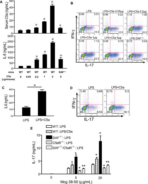 Figure 5. Effect of TLR4 and complement synergy on Th17-cell development at low C5a and LPS dosages and in an antigen immunization model. (A) WT and DAF−/− mice were treated with LPS (20 mg/kg intraperitoneally) and the indicated dose of C5a (0-5 μg/mouse intraperitoneally). Serum C5a and IL-6 levels were measured at 1 hour and 3 hours, respectively. *P < .01, Student t test; all comparisons are with WT mice treated with LPS alone. (B) Th17 cell–promoting activity of mouse sera from panel A (collected at 3 hours after treatment). (C) Serum IL-6 levels in WT mice treated with 2 mg/kg LPS alone or in combination with 0.2 μg per mouse C5a. *P < .01, Student t test. (D) Th17-promoting activity of sera from mice in panel C. Experiments panels in B and D were performed with naive CD4+ T cells activated with plate-bound anti-CD3/CD28 and are representative of 2 independent experiments. Values in panels A and C are the mean ± SEM, n = 3 for each group. (E) ELISA of IL-17 levels in the cell culture medium of restimulated splenocytes from mice immunized with MOG38-50 in IFA containing LPS (100 μg per mouse) or LPS plus C5a (1 μg per mouse). Values are mean ± SEM, n = 4 for each group. *P < .01, Student t test, comparison with WT mice immunized with LPS alone; **P < .01, Student t test, comparison with DAF−/− mice.