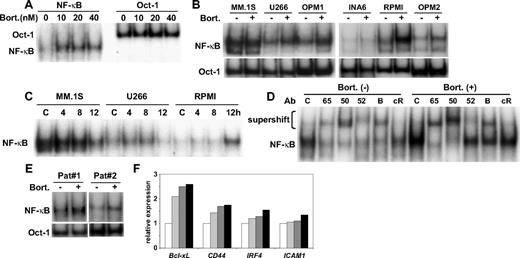Figure 2. Bortezomib activates NF-κB in MM cell lines. (A) RPMI 8226 cells were cultured with increasing doses (10-40 nM) of bortezomib for 8 hours. (B) MM.1S, U266, OPM1, INA6, RPMI 8226, and OPM2 cells were treated with bortezomib (20 nM) for 8 hours. (C) MM.1S, U266, and RPMI 8226 cells were treated with bortezomib (10 nM) for indicated time periods. (D) RPMI 8226 cells were treated with bortezomib (20 nM) for 8 hours. Nuclear extracts were subjected to EMSA (A-C) or supershift assay (D) using anti-p65, (65) p50, (50) p52, (52) RelB (B), and cRel (cR) Abs. Oct-1 served as a loading control for EMSA. Exposure time of autoradiography varied for each cell line. (E) Alteration of gene expression after bortezomib treatment (20 nM, 6 hours) in RPMI 8226 cells. (F) RPMI8226 cells were cultured with DMSO control medium (□) or bortezomib (20 nM) for 1 hour (), 3 hours () and 6 hours (■). Gene expression of Bcl-xL, CD44, IRF4, and ICAM1 was analyzed by DNA microarray.