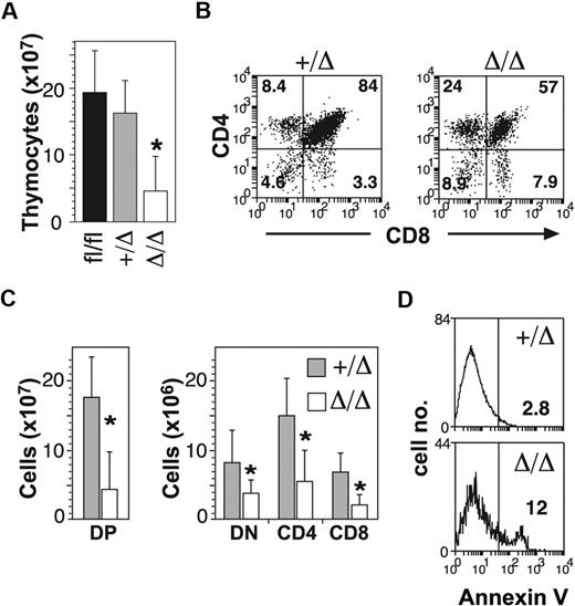 Figure 2. T-cell defects in the absence of Ptch1. (A) Total numbers of thymocytes (mean plus SD calculated from 8 mice of each genotype). *P < .05 by one-way ANOVA. (B) Representative dot-plots of T-cell subsets. The mean percentage shown for each subset was calculated from 8 mice of each genotype. (C) Total numbers of T-cell subsets: CD4−CD8− double negative (DN); CD4+CD8+ double positive (DP); CD4+ single positive (CD4); CD8+ single positive (CD8). Mean plus SD calculated from 8 mice of each genotype. *P < .05 by 2-tailed Mann-Whitney test. (D) Annexin V expression on DP thymocytes. The mean percentage of annexin V+ calculated from 3 mice for each genotype is shown.