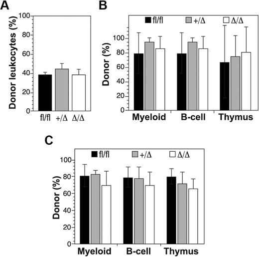 Figure 4. Competitive repopulation assays of Ptch1-null hematopoietic stem cells. (A) Donor leukocyte contribution in peripheral blood of recipient mice 4 weeks after transplantation with a 1:1 ratio of donor (Ptchfl/fl, MxPtch1+/Δ, or MxPtch1Δ/Δ) and wild-type CD45.1 competitor BM cells. Mean plus SD calculated from 4 recipients of each donor genotype. (B) Donor contribution 16 weeks after transplantation. Mice were killed to determine donor contribution to the myeloid lineage (Mac-1+ BM cells), B-cell lineage (B220+ BM cells), and T-cell lineage (CD4+CD8+ DP thymocytes). Mean plus SD calculated from 4 recipients of each donor genotype. (C) Donor contribution to hematopoiesis of secondary recipients that received transplants of BM cells from primary recipients shown in panel B. Mice were analyzed 12 weeks after transplantation. Mean plus SD calculated from 4 recipients of each donor genotype.