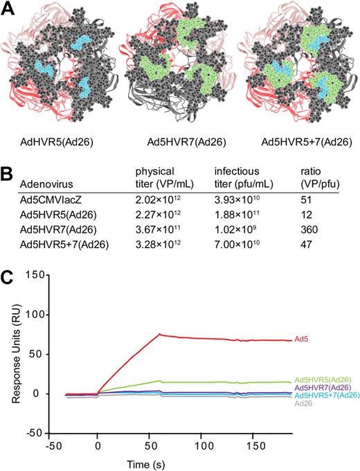 Figure 2. Swapping HVR5 and 7 of Ad5 to Ad26 and its effect on FX binding by SPR. (A) Viewlite images of the Ad5 hexon showing HVR5 (blue), HVR7 (green), as well as the remaining HVR amino acids (gray). (B) Virus particle titers and VP/pfu ratios for each virus produced. (C) SPR analysis of virus interaction with immobilized FX (500 RU). Sensorgrams of 1011 VP/mL injected at a flow rate of 30 μL/minute.
