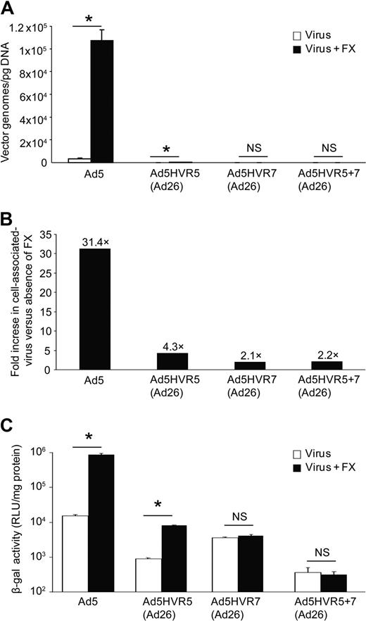 Figure 3. In vitro cell binding and transduction of HVR5 and 7 mutant adenoviruses. (A) Cell binding at 4°C to SKOV3 cells in the presence or absence of physiologic concentrations of FX. (B) Fold change in FX-assisted virus association with cell versus absence of FX. (C) SKOV3 cell transduction at 48 hours postinfection after a 3-hour exposure to each virus in the presence or absence of FX in serum-free conditions (P < .01 vs no FX conditions).