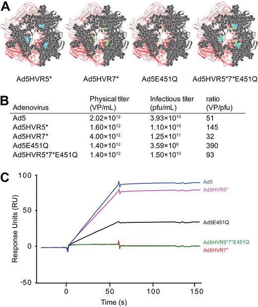 Figure 5. Effect of point mutagenesis on FX binding by SPR. (A) Viewlite images of mutations in the Ad5 hexon for each virus. (B) Virus titers and VP/pfu ratios for each virus produced. (C) SPR analysis of virus interaction with immobilized FX (500 RU). Sensorgrams of 1011 VP/mL injected at a flow rate of 30 μL/minute.