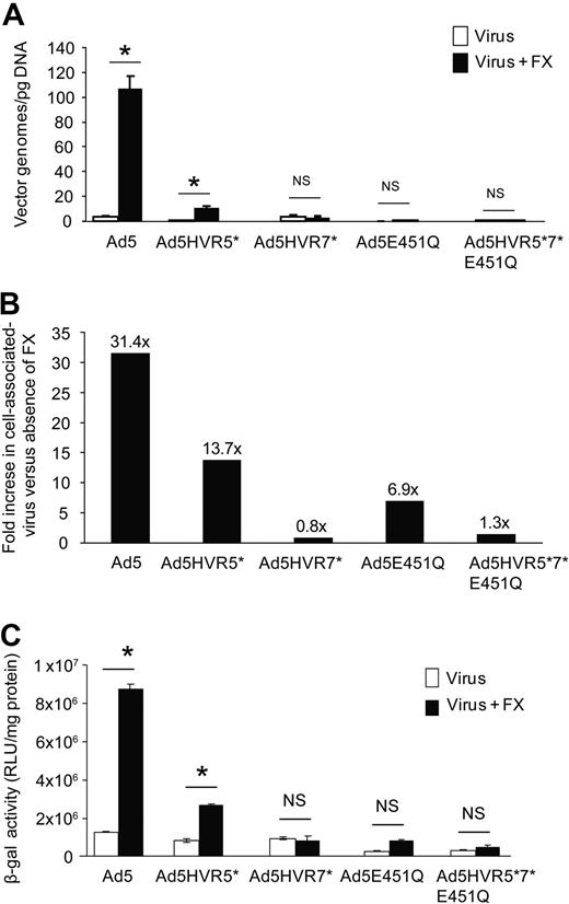 Figure 6. In vitro analysis of Ad5 hexon point mutants. (A) Cell binding at 4°C to SKOV3 cells in the presence or absence of physiologic concentrations of FX, (*P < .01 vs no FX conditions). (B) Fold change in FX-assisted virus association with cell versus absence of FX. (C) SKOV3 cell transduction at 48-hour postinfection after a 3-hour exposure to each virus in the presence or absence of FX in serum-free conditions (P < .001 vs no FX conditions).