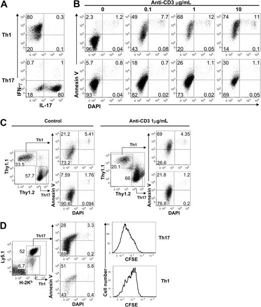 Figure 1. Th17 cells are more resistant to AICD than Th1 cells in vitro and in vivo. (A) Th1 and Th17 cells were generated from ovalbumin-specific TCR-transgenic T cells in vitro, as described in “Methods.” Expression levels of intracellular interferon-γ and IL-17 on live CD4+ cells are shown for Th1 and Th17 cells 4 days. IL-4+ cells were < 1% in either subset (data not shown). (B) Polarized Th1 and Th17 cells were restimulated in the presence of anti-CD3 mAb at the indicated concentrations. Cells were stained with annexin V and DAPI to detect early and late apoptotic cells, respectively. Data represent 1 of 3 similar experiments. (C) Survival of Th1 and Th17 cells in mixed culture in vitro. Th1 cells were generated from Thy1.1 OT-II mice, and Th17 cells were from Thy1.2 OT-II mice. Mixed Th1 (Thy1.1+) and Th17 (Thy1.2+) cells were cultured at a ratio of 1:1. Apoptosis was analyzed with (right panel) or without (left panel) anti-CD3 mAb treatment for 20 hours. Data represent 1 of 3 replicate experiments. (D) Survival of Th1 and Th17 cells in allogeneic recipients in vivo. Th1 cells generated from normal B6 mice and Th17 cells from Ly5.1 B6 mice were together injected intravenously into lethally irradiated BALB/c recipients at a ratio of 1:1. The percentages of live Th1 and Th17 cells were determined (left panel) in the recipient spleen 4 days after cell transfer. Apoptosis was determined by DAPI and annexin V staining (middle panel). Cell division was determined by 5-(and 6-)carboxyfluorescein diacetate succinimidyl ester staining (right panel).