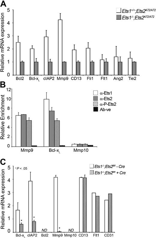 Figure 5. Ets1 and Ets2 directly regulate antiapoptotic genes in vivo and in vitro. (A) Target gene expression in GFP-tagged embryonic endothelial cells isolated by high-speed cell sorting from double-mutant and control mice as indicated. mRNA levels of target genes were standardized to PECAM/CD31 mRNA levels. Cells from 3 individual embryos for each genotyped were analyzed in duplicate experiments. Error bars indicate standard deviation. An asterisk indicates a significant difference between control and double mutant (P < .05) as determined by Student t test. (B) ChIP experiments in cultured aortic ECs, quantified by qPCR. Anti-Ets1, anti-Ets2, and anti–Ets-pThr72 phospho-specific antibodies were used. (C) Analysis of target gene expression by qPCR in cultured aortic ECs with and without Ets1/Ets2 as indicated. ND indicates not detected.