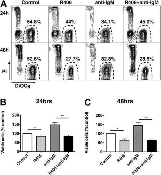 Figure 2. The Syk inhibitor R406 induces CLL cell apoptosis and abrogates BCR-derived survival signals. (A) Presented are contour plots that depict the relative green (DiOC6) and red (PI) fluorescence intensities of CLL cells from a representative patient on the horizontal and vertical axes, respectively. The viability was determined after 24 and 48 hours (as indicated on the left side) after incubation of CLL cells in medium alone (control), medium supplemented with 5 μM R406, medium with 10 μg/mL anti-IgM mAbs, or medium with anti-IgM mAbs and 5 μM R406, as indicated above the plots. The viable cell population is characterized by bright DiOC6 staining and PI exclusion, and is gated in the lower right corner of each contour plot. The percentage of viable cells is displayed above each of these gates. In this case, R406 reduced CLL cell viability from 54.8% to 44%. Anti-IgM stimulation increased CLL cell viability to 84.1%, which was completely abrogated by coincubation with anti-IgM plus R406, reducing CLL cell viability to 45% at 24 hours. Similar results were obtained at 48 hours (bottom row). (B-C) The bar diagrams represent the mean relative viabilities of CLL cells cultured in complete medium (control), or medium supplemented with 5 μM R406, 10 μg/mL anti-IgM, or the combination of 5 μM R406 and 10 μg/mL anti-IgM. Viabilities were normalized to the relative viability of control samples at the respective time points (100%), to account for differences in spontaneous apoptosis in samples from different patients. Displayed are the means (± SEM) from 11 different patient samples, assessed after 24 hours (B) and 48 hours (C). * and ** indicate P < .05.