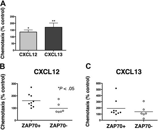 Figure 6. BCR triggering increases chemotaxis of CLL cells toward CXCL12 and CXCL13. (A) CLL cells from 15 different patients were assayed for chemotaxis toward CXCL12 (▩) or CXCL13 (■) after incubation for 48 hours without (control) or with anti-IgM. Displayed is the mean relative chemotaxis (± SEM, n = 15) of anti-IgM–stimulated CLL cells, compared with unstimulated controls (100%). Anti-IgM treatment significantly increased CLL cell chemotaxis toward both CXCL12 and CXCL13, with P < .05, as indicated by the asterisks. (B-C) Displayed are scatter dot plots that represent the relative chemotaxis of 15 CLL samples after 48 hours of treatment with anti-IgM in ZAP-70–positive CLL samples (●, n = 9) and ZAP-70–negative CLL samples (○, n = 6) toward CXCL12 (B) or CXCL13 (C). Enhanced chemotaxis after anti-IgM treatment was more apparent in ZAP-70–positive samples; however, this difference between ZAP-70–positive and ZAP-70–negative CLL samples was significant only for CXCL12 (P < .05).