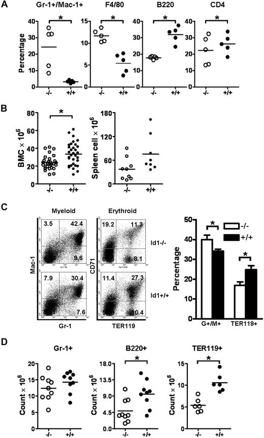 Figure 1. Id1−/− mice show decreased BM cellularity with fewer myeloid, erythroid, and lymphoid cells but increased neutrophils and monocytes in the PB. (A) PBCs obtained from Id1−/− (n = 5) and Id1+/+ (n = 5) mice were analyzed with lineage-specific monoclonal antibodies. The horizontal bars indicate the mean percentage (*P < .01). Data were obtained from 2 independent experiments. (B) Total BM (Id1−/−, n = 30; Id1+/+, n = 32) and spleen (Id1−/−, n = 9; Id1+/+, n = 8) cells were enumerated by the use of a hemacytometer (*P < .01). (C) Left panel shows the flow cytometric analysis for granulocytes/monocytes (Gr-1 × Mac-1) and erythroid cells (TER119 × CD71) in Id1−/− and Id1+/+ BMC. The numbers in each quadrant indicate the percentage of each cell type among the total analyzed cells. Right panel shows percentages of Gr-1+/Mac-1+ or TER119+ BMC from all Id1−/− (n = 9) and Id1+/+ (n = 6) mice analyzed (*P = .01). (D) The absolute number of Gr-1+, B220+, and TER119+ BMC was calculated by multiplying the fraction of positive cells to total BMC (*P < .01). Data were obtained from 3 independent experiments, and the horizontal bars indicate the mean cell counts.