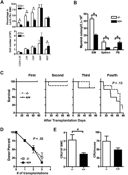 Figure 2. HSCs are maintained in Id1−/− mice. (A) The percentages and absolute numbers of LSK, CD34loLSK, CMP, MEP, and GMP were determined by flow cytometry of BMC obtained from 12- to 14-week-old Id1−/− (n = 5) and Id1+/+ (n = 6) mice in 3 separate experiments (*P < .05). The percentage of each population among total Lin−IL-7Rα− BMC (top panel), and the absolute counts to total Lin−IL-7Rα− BMC of each group of mice (bottom panel) is shown. (B) Myeloid colony assays were performed on BM, spleen, and PB cells from Id1−/− and Id1+/+ mice. BMCs were cultured in methylcellulose semisolid media with cytokines (mouse GM-CSF, 100 ng/mL; mouse IL-3, 30 ng/mL; mouse SCF, 100 ng/mL). The results depict data from triplicate plates (*P ≤ .001). (C) Mice were irradiated (n = 10 per group) and then serially transplanted with 2 × 106 Id1−/− or Id1+/+ BMC. The percentage of donor BMC were determined in recipient mice 70 days after transplantation by the use of antibodies specific for donor and host cells (Ly5.1 and Ly5.2). Survival data of recipient mice were plotted as Kaplan-Meier curves and analyzed by log rank test (P = .13). (D) The percentage of donor-derived BMC versus the serial transplant number was plotted (P = .30). Data are representative of 1 of 2 independent experiments. (E) BMC (106) from Id1−/− or Id1+/+ mice were mixed with BM competitor cells (106) and were transplanted into irradiated recipient mice. Donor cell chimerism in recipient BMs was evaluated 4 months after transplantation. Left panel graph shows competitive repopulation unit (CRU) of 106 BMC of each group (*P = .03), whereas right panel graph shows CRU data that was normalized by use of the mean total BMC for each group (P = .15). The data are presented as the mean ± SEM (n = 6).