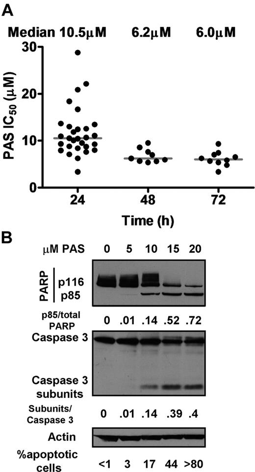 Figure 1. Effect of PAS on CLL cells. (A) Cells from CLL patients were treated with 0 to 160 μM PAS for 24 hours (n = 30), 48 hours (n = 9), or 72 hours (n = 10). Viability was assessed by MTT analysis. IC50 values were determined using CalcuSyn software as previously described.30 (B) Proteins were extracted from cells of patient AS15 incubated with no addition or the indicated concentration of PAS and analyzed by Western blotting. PARP cleavage data are typical of 23 and the caspase 3 data of 3 experiments. The percentages of apoptotic cells observed by morphologic analysis (see supplemental Figure 2) is indicated below the Western blots and are typical of 33 experiments.