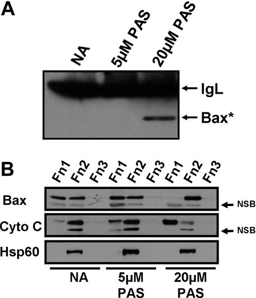 Figure 3. Effect of PAS on Bax conformational change, cytochrome c release, and Bax insertion into the mitochondria. CLL cells were incubated for 18 hours with no addition (NA) or 5 or 20 μM PAS in the presence of the pan-caspase inhibitor ZVAD. (A) Cell extracts were immunoprecipitated using an antibody specific for the proapoptotic conformation of Bax (Bax*). Precipitates were analyzed by Western blotting. IgL, antibody light chain, NSB, nonspecific band. (B) DDF was performed to determine the movement of cytochrome c and Bax within the cell after PAS treatment. Fractions (Fn) 1, 2, and 3 correspond to cytosolic, mitochondrial plus organellar, and nuclear fractions, respectively. Data shown are for patient AS9 and are typical of 5 experiments.