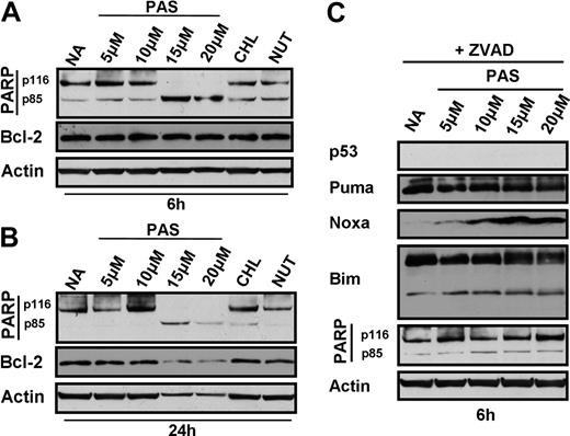 Figure 6. Effect of PAS on CLL cells with p53 deletion. CLL cells from patient AS32 with greater than 97% deletion of p53 were treated with 5 to 20 μM PAS, 60 μM chlorambucil, or 20 μM nutlin 3 for 6 hours (A) or 24 hours (B). Lysates were analyzed by Western blotting. Cells from the same patient were incubated for 6 hours with the indicated concentrations of PAS in the presence of 100 μM ZVAD and analyzed by Western blotting (C).