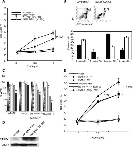 Figure 6. GzmA cleavage of PARP-1 enhances apoptosis and reduces necrosis of target cells. PARP-1−/− MEFs, transiently transfected with expression plasmids encoding WT or K498A PARP-1 (A-C) or PARP-1 fragments (D-E), were treated with GzmA and PFN and assayed for cell death by fluorescein isothiocyanate-annexin V and PI staining or ATP content. In (A) and (E), mean and SD of the proportion of annexin V and/or PI+ cells from 3 independent experiments are shown. (B) Representative annexin V and PI dot plots (top) and the mean and SD of 3 experiments (bottom) 4 hours after treating cells overexpressing WT (■) or K498A (□) PARP-1 with PFN and 2 μM GzmA. Expression of GzmA-resistant K498A PARP-1 increased the percentage of viable annexin V−PI− cells, but the dead cells were more likely to die of necrosis (annexin V−PI+) than apoptosis (annexin V+). The differences for each subgroup of annexin V and PI staining between WT and K498A PARP-1–expressing cells were all significant (P < .01). (C) GzmA treatment depletes cellular ATP in a PARP-1–dependent manner. ATP was measured 1 hour after treatment with nothing (gradient bar), PFN alone (patterned bar), GzmA alone (white), or both (increasing concentrations of Gzm indicated by color change from gray to black). ATP depletion requires PARP-1 because ATP levels were unchanged in PARP-1−/− MEFs. Cleavage of PARP-1 reduces ATP depletion because cells expressing GzmA-resistant K498A PARP-1 are more depleted of ATP than cells overexpressing WT PARP-1. Data shown are the mean and SD of 3 independent experiments (*P < .01; **P < .005). (D) Shows the expression of PARP-1 fragments by immunoblot probed with a mixture of antisera that recognize N-terminal and C-terminal PARP-1. (E) Cells expressing N-terminal PARP-1 had increased susceptibility to GzmA. Cells were transfected to overexpress WT (♦) or K498A (■) PARP-1 (A) or PARP-11-498 (▴) or PARP-1499-1014 (•) or with vector (×). Cell death of control cells exposed to GzmA, but not PFN, is indicated by the corresponding open symbols and dashed lines.