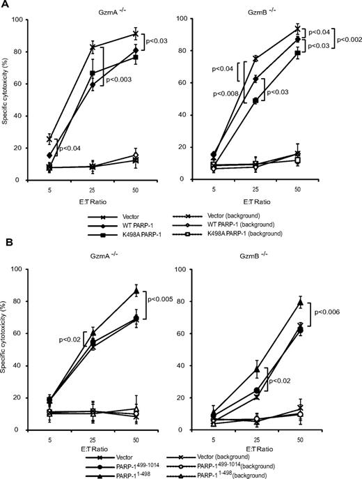Figure 7. Expression of WT PARP-1 provides some protection from cell death triggered by GzmB−/− and GzmA−/− CTLs, whereas mutation of the preferred PARP-1 GzmA cleavage site protects only against GzmB−/− CTLs. Cell death of PARP-1–transduced ConA-coated PARP-1−/− MEFs, attacked by GzmB-expressing CTLs (GzmA−/−, left) or GzmA-expressing CTLs (GzmB−/−, right), was measured by 51Cr release assay. (A) PARP-expressing cells are more resistant to CTL attack. K498A PARP-1–expressing cells are more resistant than WT PARP-1–expressing cells to attack by GzmA-expressing CTLs, but not by GzmB-expressing cells. (B) Expression of PARP1-498 increases susceptibility to both GzmB−/− and GzmA−/− CTLs. Cells were transfected to overexpress WT (♦) or K498 (■) PARP-1 (A) or PARP-11-498 (▴) or PARP-1499-1014 (•) (B) or with vector (×). Cell death of control cells, without CTLs, is indicated by the corresponding open symbols and dashed lines.