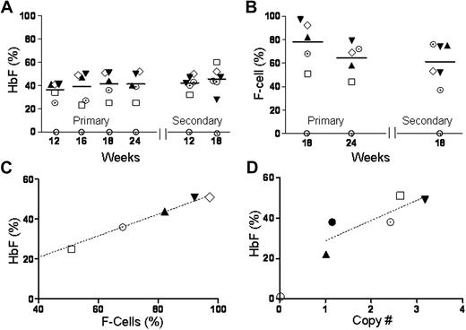 Figure 1. GbG mice that underwent transplantation after myeloablative conditioning have high HbF production that is stable and sustained in primary and secondary mice. GbG mice that were fully chimeric for donor RBCs were analyzed at different time points. The proportion of HbF (A) and F cells (B) in blood of individual mice, as determined by ion-exchange HPLC and FACS analysis, respectively, is shown at different time points after primary and secondary transplantations. (C) The amount of HbF in blood directly correlated with the proportion of F cells. (D) The amount of HbF produced was directly in proportion to the vector copy number in bone marrow. Each symbol represents one mouse (and consistently depicts the same particular mouse in all the panels).