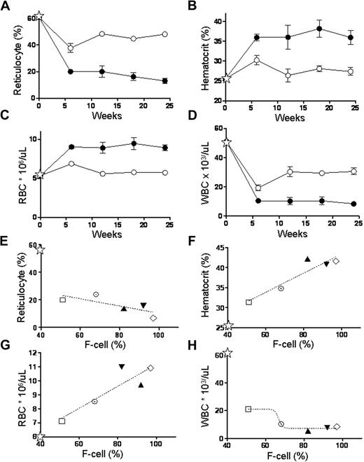 Figure 2. GbG mice that underwent transplantation after myeloablative conditioning, which resulted in correction of hematologic parameters that correlated with the HbF expression. There was sustained reduction in reticulocytes (A), and increase in hematocrit (B) and RBC numbers (C) over time. (D) Leukocytosis decreased with normalization of WBC counts. Data shown represent mean (± SEM) values of GbG mice (n = 5; ●) and mice that underwent mock transplantation (n = 10; ○). ☆ represents mean values in BERK mice that were HSC donors for the GbG and mock transplantations. (E-G) Decrease in reticulocytes, and increased hematocrit and RBC numbers correlated with the proportion of F cells in individual mice. (H) WBC counts decreased but normalized when the F cells exceeded 60%. WBC counts, counted on an automated analyzer, were representative of circulating leukocytes, since only occasional nucleated RBCs were seen in peripheral smears. Each data point/symbol in panels E-H represents one GbG mouse and symbols for individual mice have been kept consistent, to trace individual mice in Figures 1 and 2. ☆ represents mean values in BERK mice that were HSC donors for the GbG and mock transplantations.