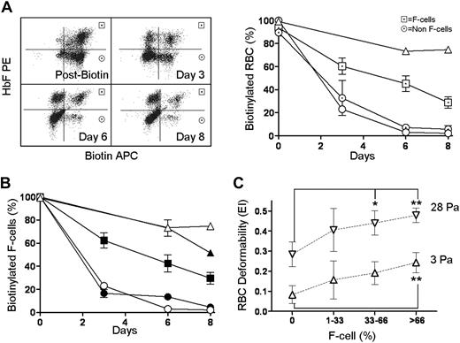 Figure 6. Effect of HbF, F cells, and percentage HbF/F cell required for functional improvement in RBC survival and deformability. (A) RBC half-life. Left panel shows a representative GbG mouse injected with biotin, with biotin-labeled F cells (upper right quadrants) and non-F cells (lower right quadrants) determined by FACS. Right panel shows survival of F cells (⊡), compared with the non-F cells (⊙) in GbG mice (n = 4); wild-type mice (△); and Berkeley mice (○). (B) A cohort of GbG mice analyzed for RBC survival in vivo, based upon the percentage of HbF/F cell. Each symbol represents a mouse group with HbF percentage and number of mice listed in the adjacent table legend. (C) All GbG and mock mice (n = 34) that were analyzed for RBC deformability were divided into groups based on proportion of F cells: 0%, 1% to 33%, 33% to 66%, and more than 66%, and deformability of total RBC in these mice was plotted at low (3 Pa, △) and high (28 Pa, ▽) shear stress. Significantly improved deformability over mock controls is denoted by *(P < .05) and **(P < .01). Error bars indicate SEM.
