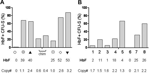 Figure 7. Proportion of transduced HSCs in GbG mice. Proportions in the myeloablative (A) and reduced-intensity (B) transplantation models are shown. The proportion of sGbG-transduced HSCs was determined by spleen colonies (30-36 colonies/mouse) by intracellular staining with HbF and HbS. Each bar represents an individual mouse. (A) In the myeloablative transplantation model, symbols beneath each bar (representing one mouse) are consistent with the symbols in mice labeled in Figures 1 and 2. (B) In the reduced-intensity group, bone marrow was successfully aspirated from 8 mice at 24 weeks and mice were followed for an additional 24 weeks. The HbF expression in peripheral blood by HPLC and bone marrow copy number of the respective mice at 24 weeks are labeled under each bar.