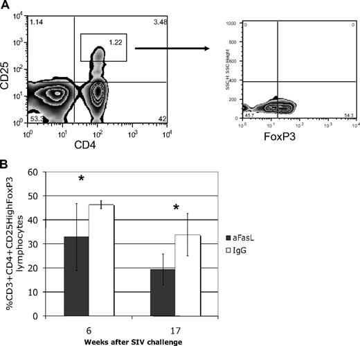 Figure 5. Regulatory T cells are lower after FasL blocking. (A) Regulatory T cells (Tregs) were defined as the CD4+CD25high subset of CD3 lymphocytes that also express FoxP3. (B) The anti-FasL–treated group had significantly lower percentages of Tregs at 6 and 17 weeks after infection. *P < .05. Error bars indicate SEM.