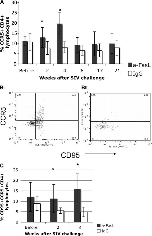 Figure 6. CCR5-expressing CD4 lymphocytes were higher in treated compared with control macaques at early times after SIV infection. (A) A significantly higher percentage of CCR5+CD4+ lymphocytes was observed in the anti-FasL–treated group at 2 and 4 weeks after SIV infection. In this group, CCR5+CD4+ T cells were nearly twice the baseline values from 2 to 4 weeks after infection (an effect not seen in the control group). (B) The CD95+CCR5+ subset of CD4 lymphocytes was compared at 2 and 4 weeks to study the effect of infection on the memory CCR5+CD4+ subset. Representative dot plots from anti-FasL (Bi) and IgG (Bii) animals showed a decline in this subset for control animals. (C) The average values from the groups show the memory population declined in control animals but not in the anti-FasL–treated group. Error bars (panels A and C) indicate SEM. Asterisks indicate significant differences (P <.05).