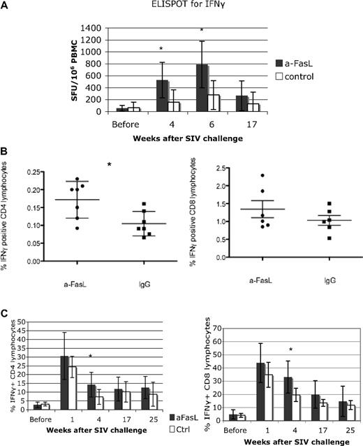 Figure 7. Antigen-specific and polyclonal cellular immune responses were higher in anti-FasL–treated animals compared with controls. (A) Gag-specific responses were measured by IFNγ ELISPOT. There were higher antigen-specific responses in the anti-FasL group at weeks 4 and 6 after infection compared with controls. (B) The SIV Gag-specific responses, measured as the percentage of IFNγ-producing CD4+ T cells detectable by intracellular flow cytometry, were also higher in anti-FasL–treated animals at 4 weeks after infection. (C) Significantly higher percentages of IFNγ+ CD4 and CD8 lymphocytes were detected in response to polyclonal stimulation in anti-FasL–treated animals at 4 weeks after SIV challenge. *P < .05. Error bars indicate SEM.