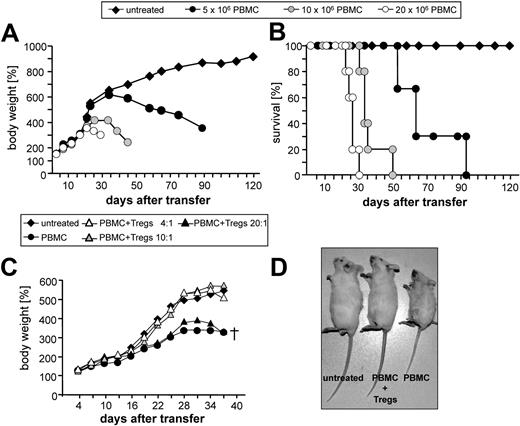 Figure 3. Induction of GVHD in NOD-Scid mice by human PBMC and protection from GVHD by human regulatory T cells. (A-B) Different numbers of human PBMC as indicated were injected into newborn NOD-Scid mice. Untreated mice served as controls (n = 3). (A) Cumulative mean weight data; (B) survival of individual groups. Data from 1 representative experiment of 3 is shown. (C) Protection from GVHD by human Tregs. Newborn NOD-Scid mice were transferred with 107 PBMC with or without graded numbers of Tregs. Each point represents the cumulative mean weight data of 4 mice per group. Survival of mice at day 37: untreated: 4/4; PBMC: 0/4; PBMC + Tregs 4:1: 4/4; PBMC + Tregs 10:1: 4/4; and PBMC + Tregs 20:1: 0/4. (D) Littermates 4 weeks after transfer of 107 PBMCs with or without 2.5 × 106 Tregs or untreated.